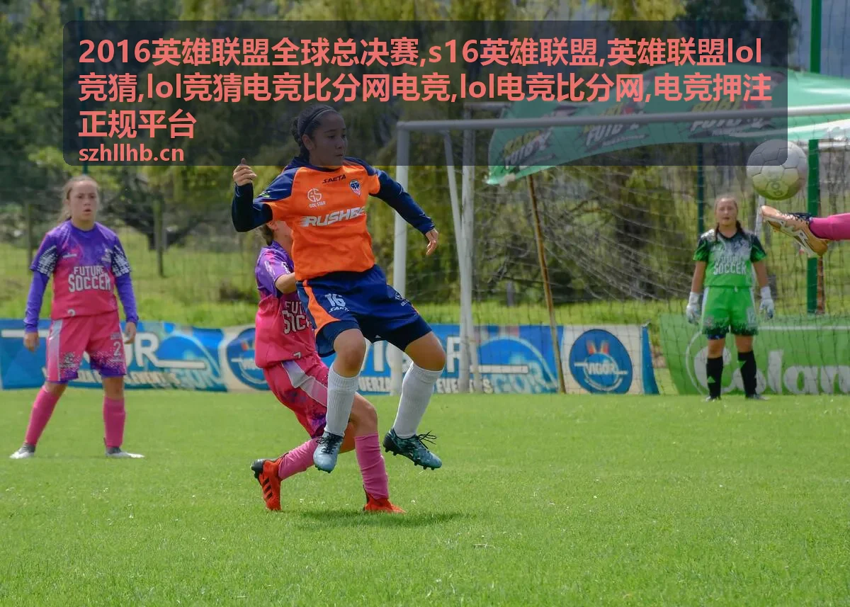 LOL竞猜电竞比分网电竞使用说明封面